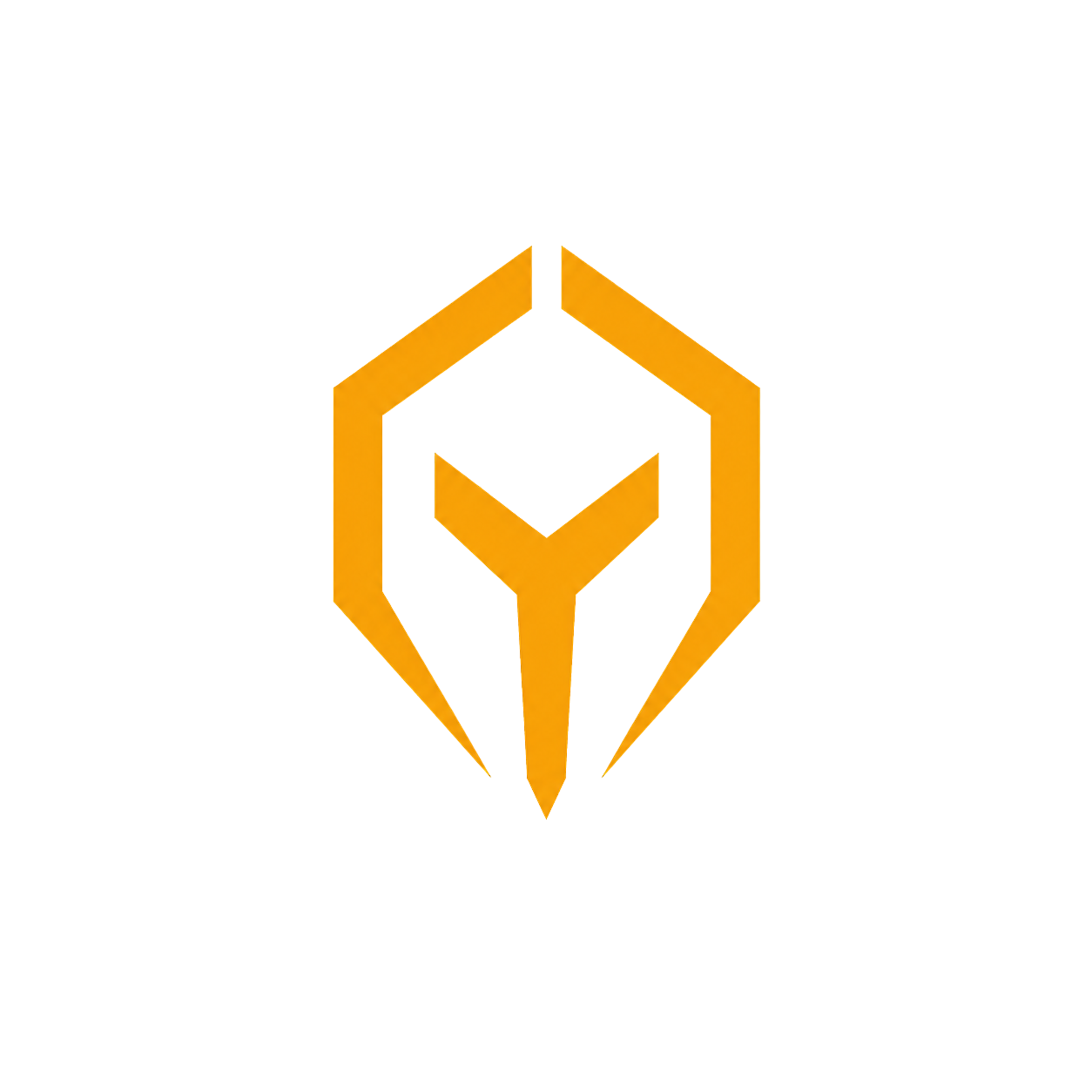 Talon Audit